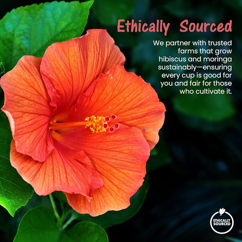 Pure Moringa Leaves Tea Blend with Hibiscus