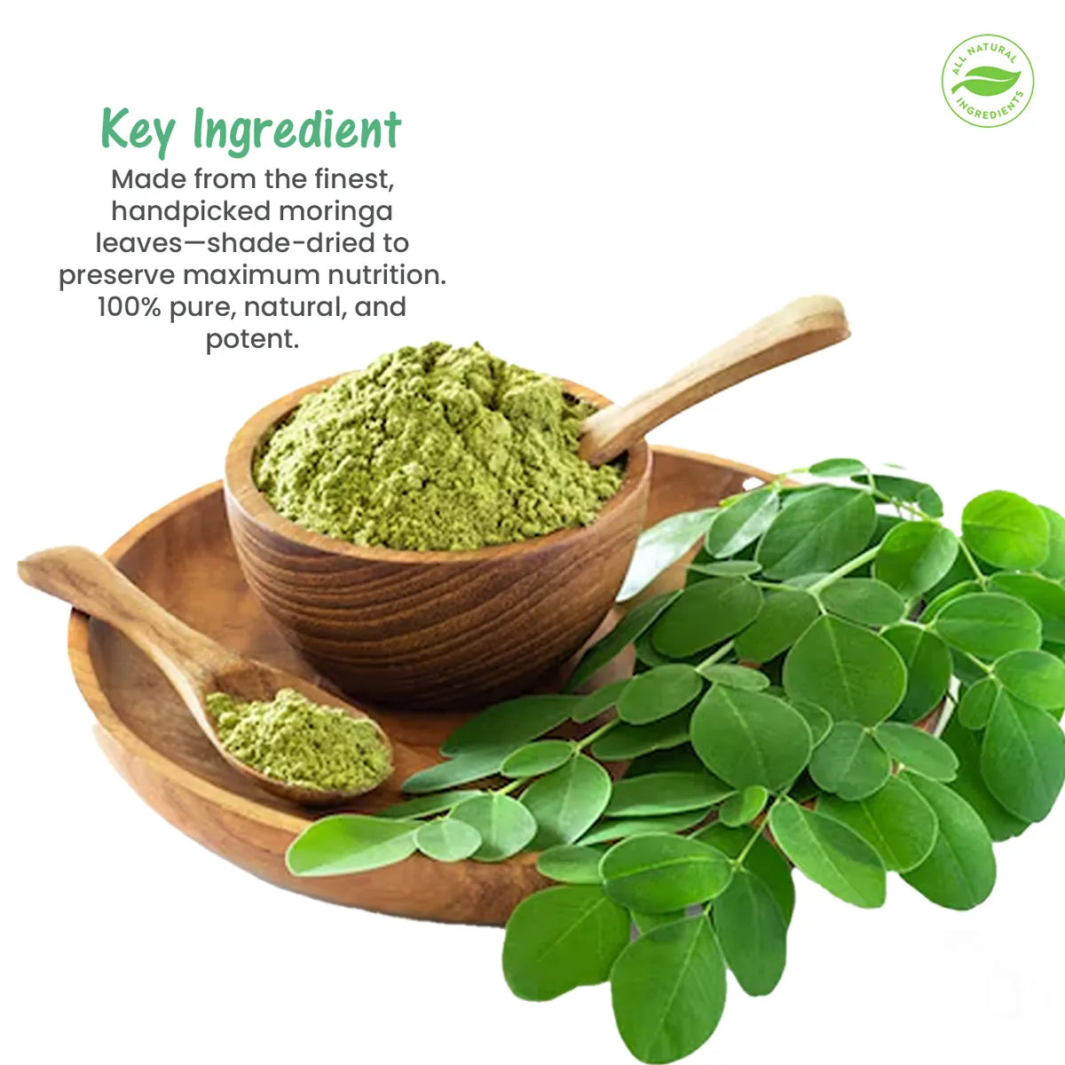 The Moringa Leaves Powder - 70gm